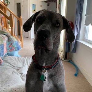 Meet your Posher, Robin